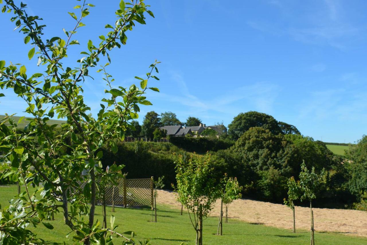 Kerswell Farmhouse Totnes Eksteriør billede